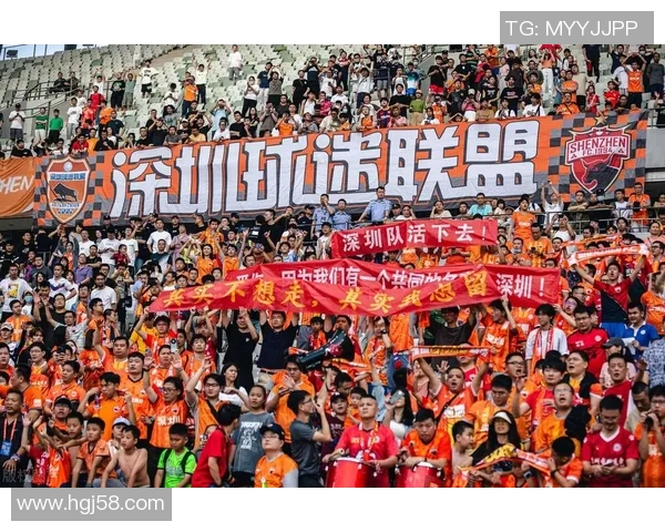 九牛足球：探索中国足球的崛起与未来发展之路